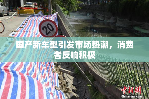 国产新车型引发市场热潮，消费者反响积极