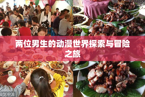 两位男生的动漫世界探索与冒险之旅