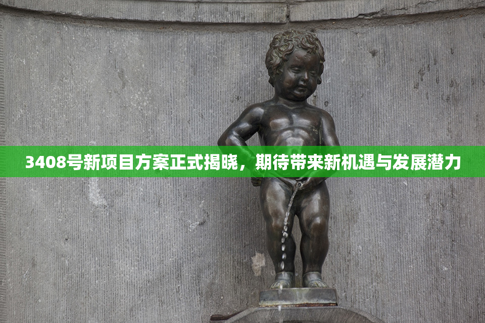 3408号新项目方案正式揭晓，期待带来新机遇与发展潜力