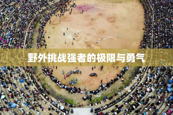 野外挑战强者的极限与勇气