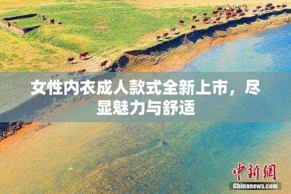 女性内衣成人款式全新上市，尽显魅力与舒适