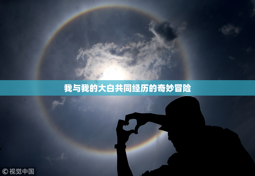 我与我的大白共同经历的奇妙冒险
