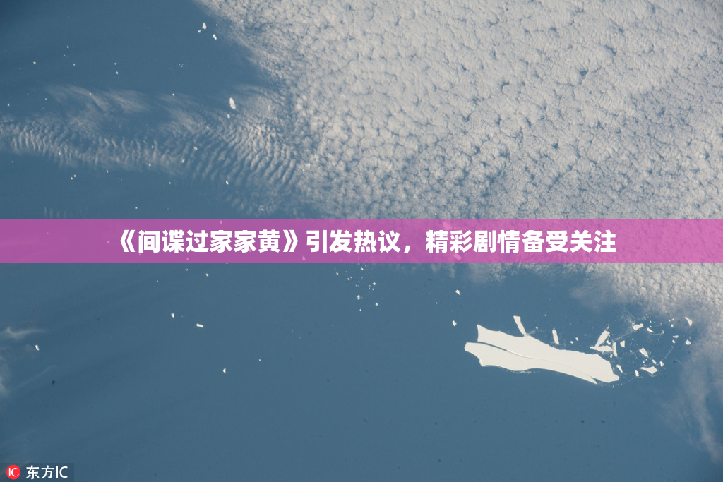 《间谍过家家黄》引发热议，精彩剧情备受关注