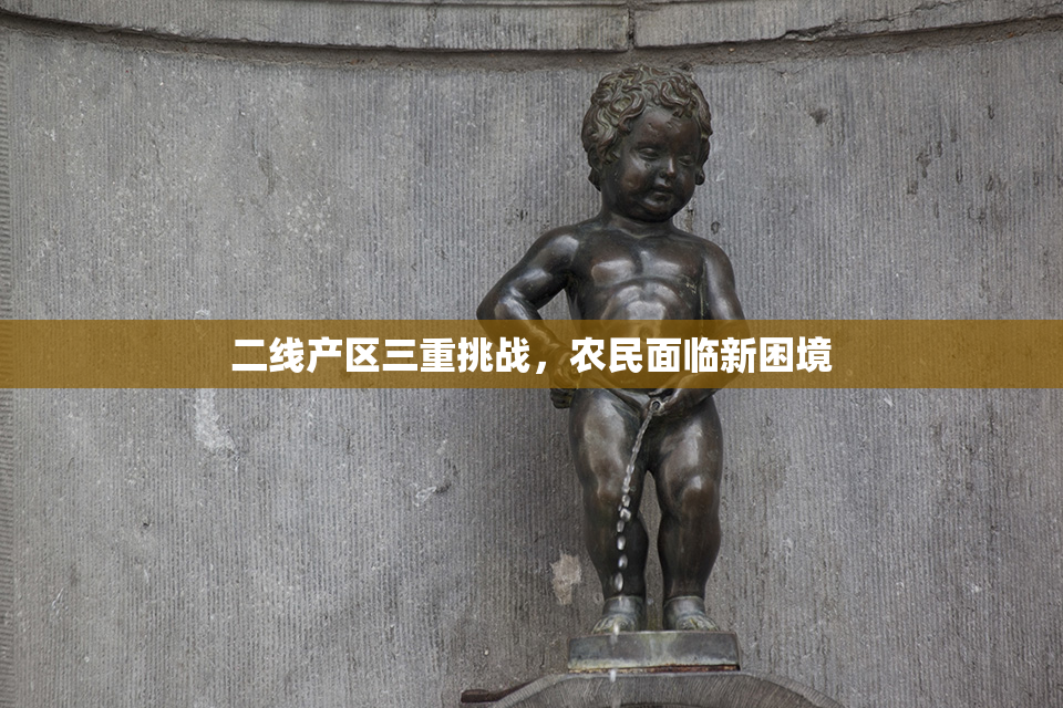 二线产区三重挑战，农民面临新困境