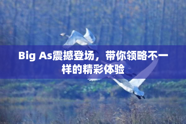 Big As震撼登场，带你领略不一样的精彩体验