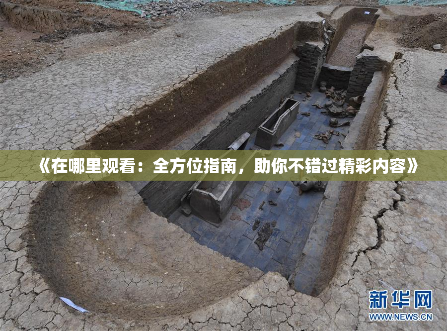 《在哪里观看：全方位指南，助你不错过精彩内容》