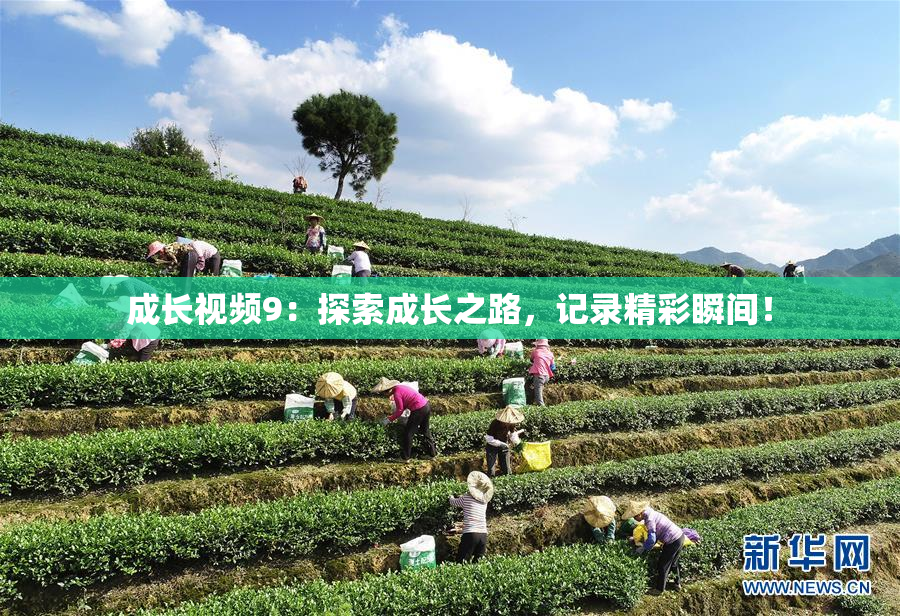成长视频9：探索成长之路，记录精彩瞬间！