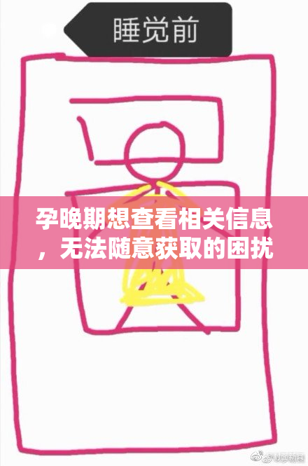 孕晚期想查看相关信息，无法随意获取的困扰