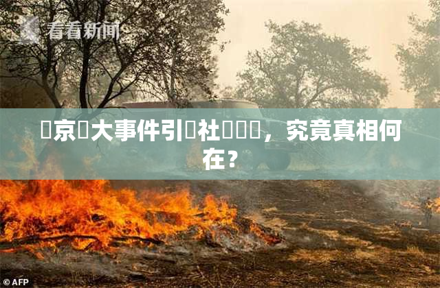 東京熱大事件引發社會熱議，究竟真相何在？
