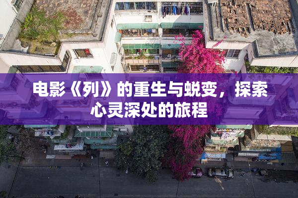 电影《列》的重生与蜕变，探索心灵深处的旅程