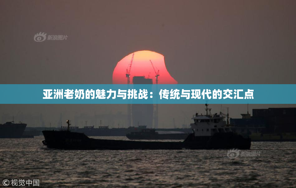 亚洲老奶的魅力与挑战：传统与现代的交汇点