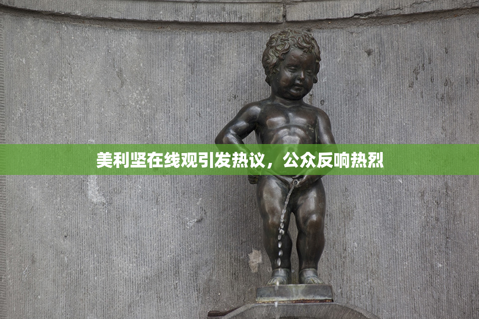 美利坚在线观引发热议，公众反响热烈