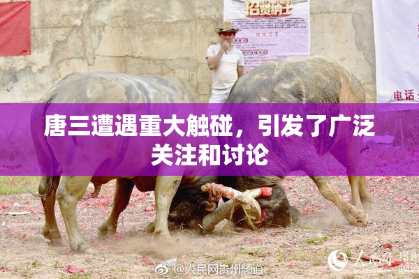 唐三遭遇重大触碰，引发了广泛关注和讨论