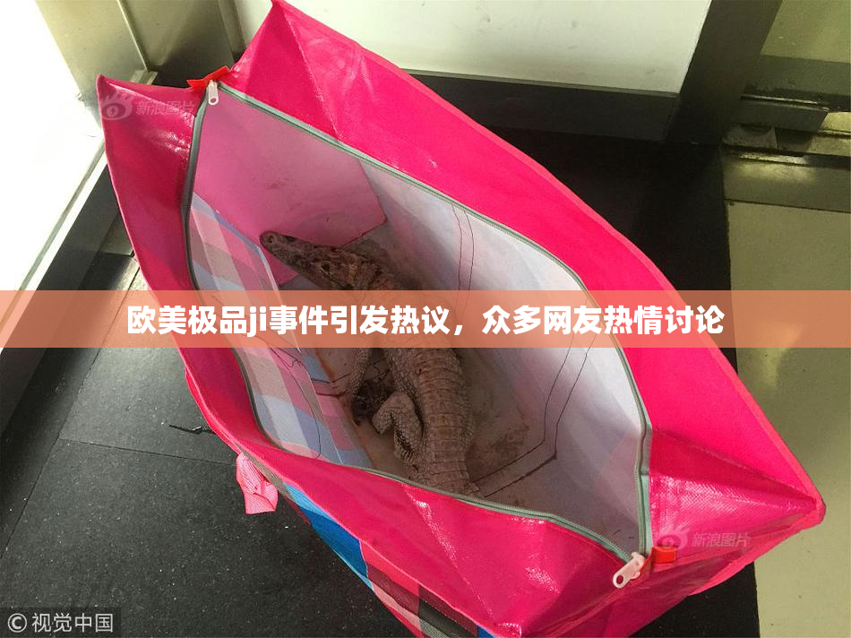 欧美极品ji事件引发热议，众多网友热情讨论