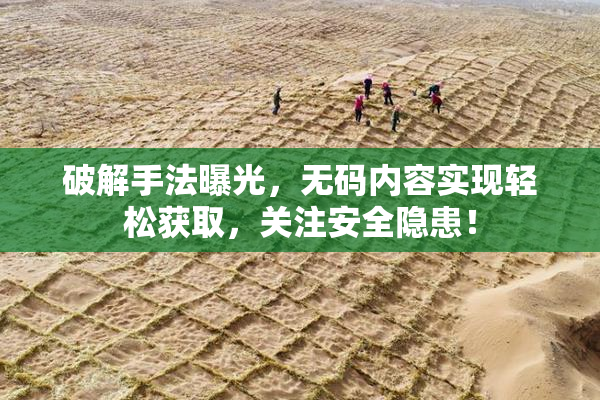破解手法曝光，无码内容实现轻松获取，关注安全隐患！