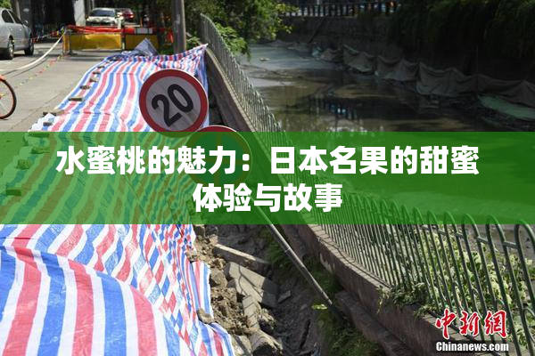 水蜜桃的魅力：日本名果的甜蜜体验与故事
