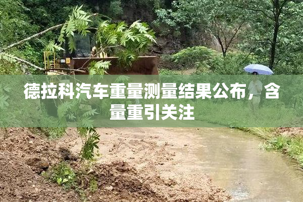 德拉科汽车重量测量结果公布，含量重引关注