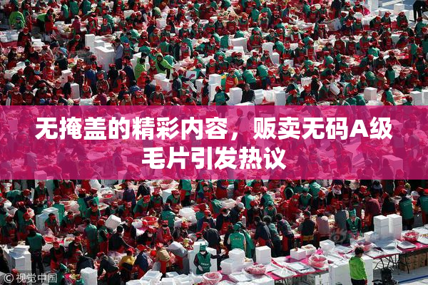 无掩盖的精彩内容，贩卖无码A级毛片引发热议