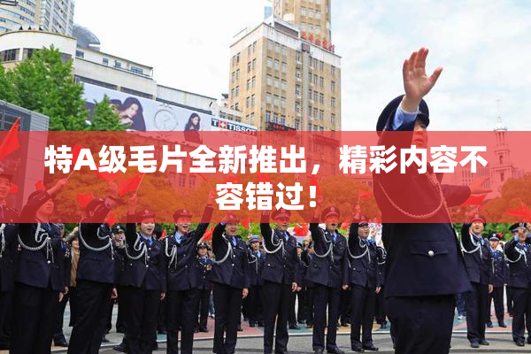 特A级毛片全新推出，精彩内容不容错过！