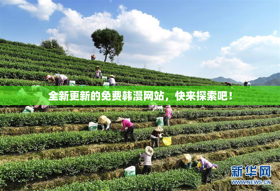 全新更新的免费韩漫网站，快来探索吧！