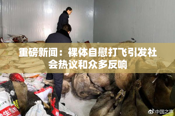 重磅新闻：裸体自慰打飞引发社会热议和众多反响