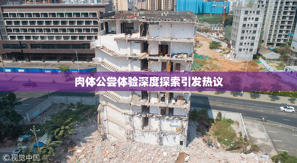 肉体公尝体验深度探索引发热议