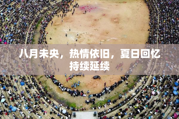八月未央，热情依旧，夏日回忆持续延续