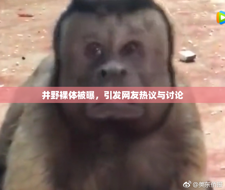 井野裸体被曝，引发网友热议与讨论