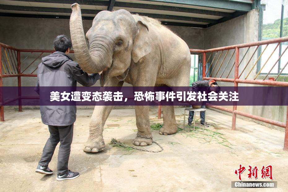 美女遭变态袭击，恐怖事件引发社会关注