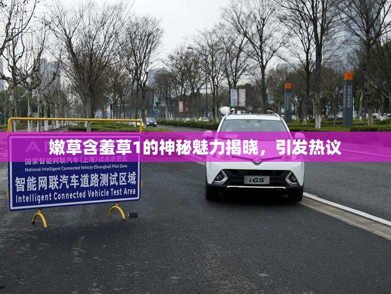 嫩草含羞草1的神秘魅力揭晓，引发热议