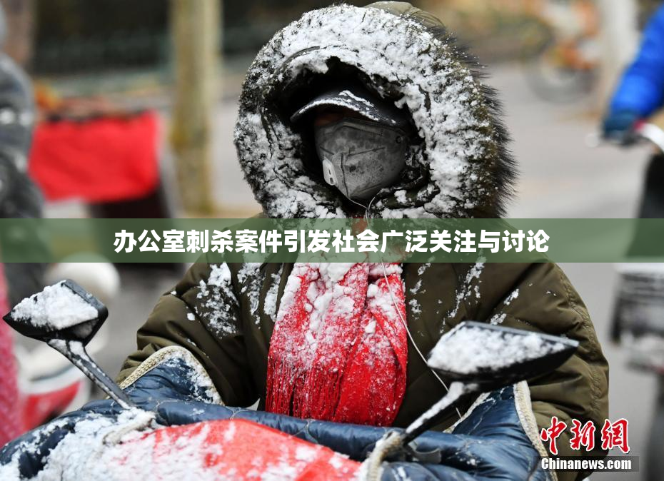 办公室刺杀案件引发社会广泛关注与讨论