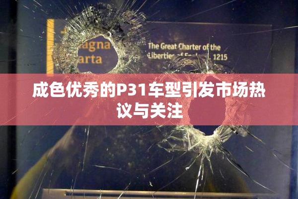 成色优秀的P31车型引发市场热议与关注