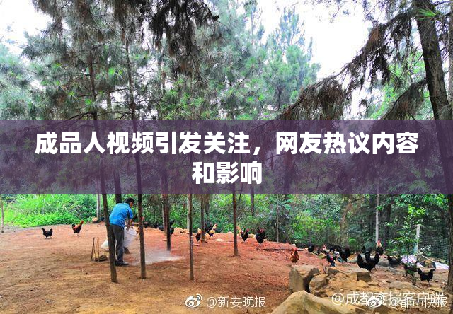 成品人视频引发关注，网友热议内容和影响