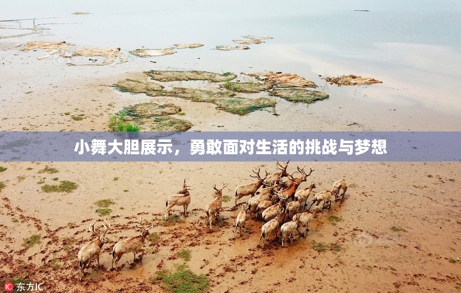 小舞大胆展示，勇敢面对生活的挑战与梦想