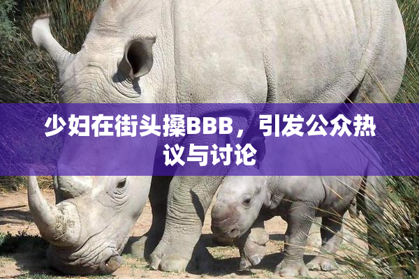 少妇在街头搡BBB，引发公众热议与讨论