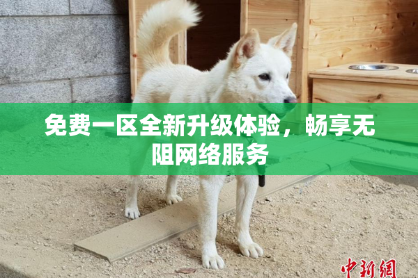 免费一区全新升级体验，畅享无阻网络服务