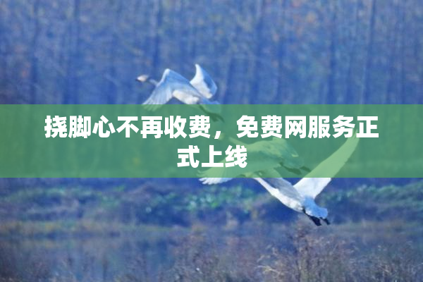 挠脚心不再收费，免费网服务正式上线