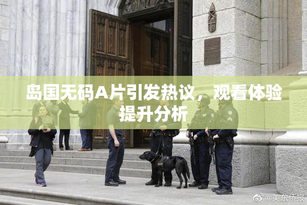 岛国无码A片引发热议，观看体验提升分析