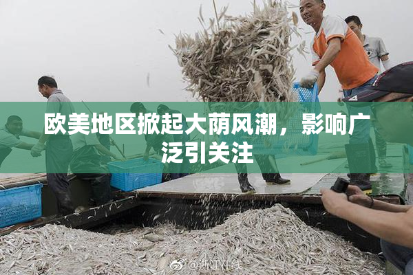 欧美地区掀起大荫风潮，影响广泛引关注