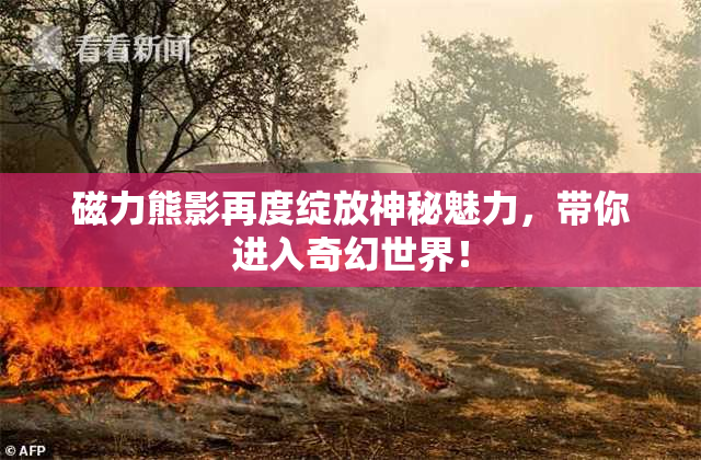 磁力熊影再度绽放神秘魅力，带你进入奇幻世界！