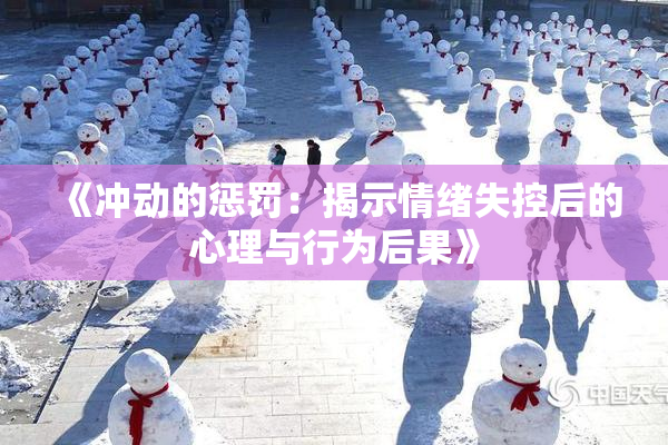 《冲动的惩罚：揭示情绪失控后的心理与行为后果》