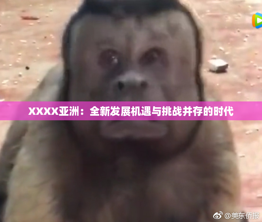 XXXX亚洲：全新发展机遇与挑战并存的时代