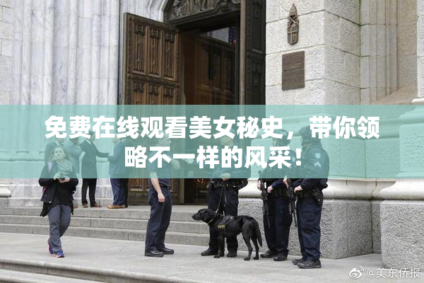 免费在线观看美女秘史，带你领略不一样的风采！