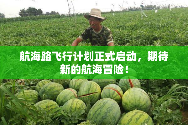 航海路飞行计划正式启动，期待新的航海冒险！