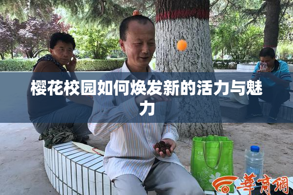 樱花校园如何焕发新的活力与魅力