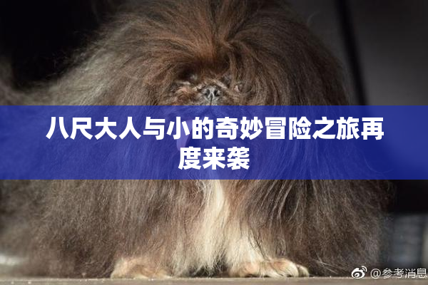 八尺大人与小的奇妙冒险之旅再度来袭
