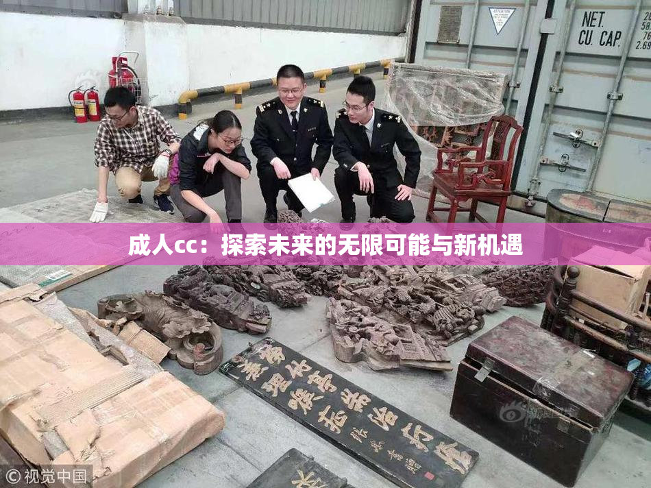 成人cc：探索未来的无限可能与新机遇