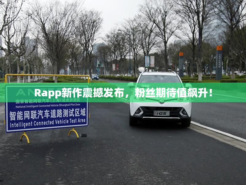 Rapp新作震撼发布，粉丝期待值飙升！