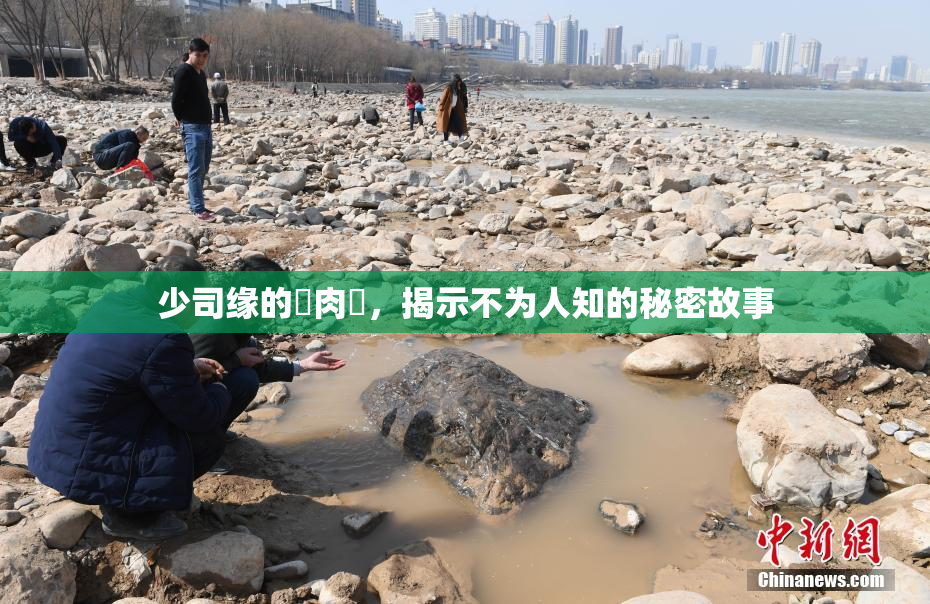 少司缘的婬肉泬，揭示不为人知的秘密故事