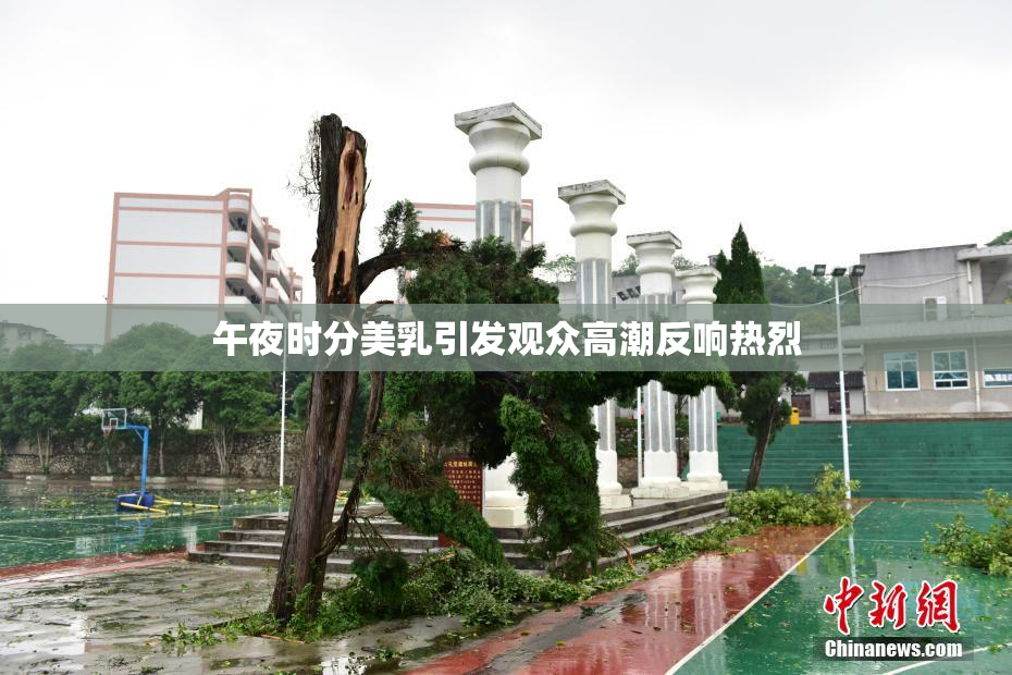 午夜时分美乳引发观众高潮反响热烈